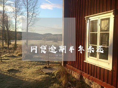 网贷逾期半年未还 网贷逾期半年未还