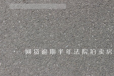 网贷逾期半年法院拍卖房子 网贷逾期半年法院拍卖房子