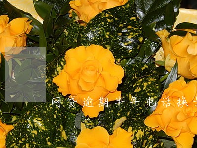 网贷逾期半年电话换号 网贷逾期半年电话换号