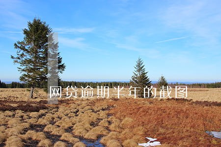 网贷逾期半年的截图 网贷逾期半年的截图