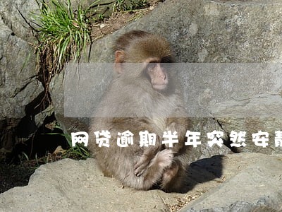 网贷逾期半年突然安静了 网贷逾期半年突然安静了