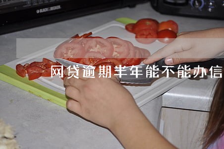 网贷逾期半年能不能办信用卡 网贷逾期半年能不能办信用卡