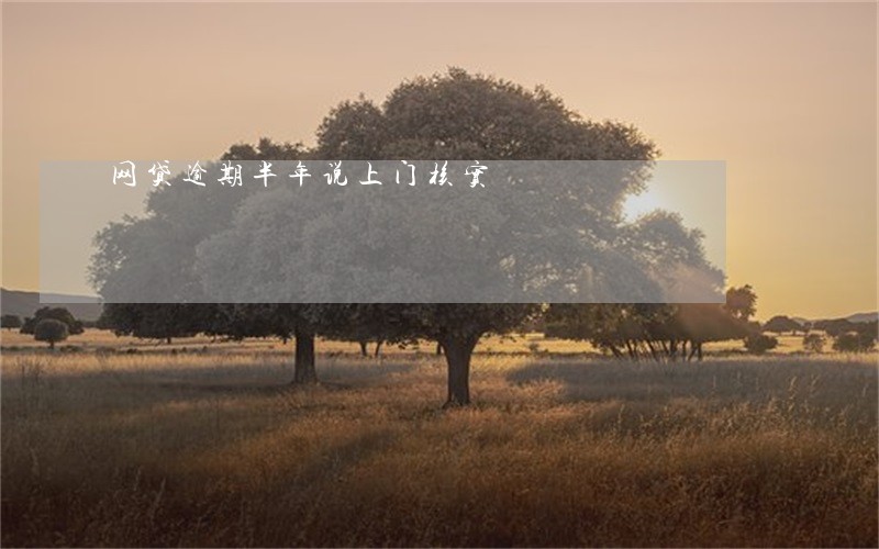 网贷逾期半年说上门核实 网贷逾期半年说上门核实