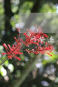 网贷逾期半年还8万 网贷逾期半年还8万