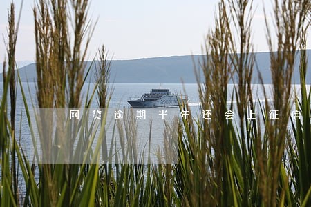 网贷逾期半年还会上征信吗 网贷逾期半年还会上征信吗