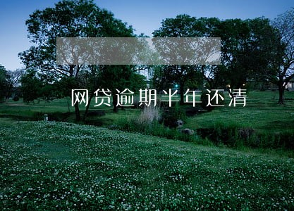 网贷逾期半年还清