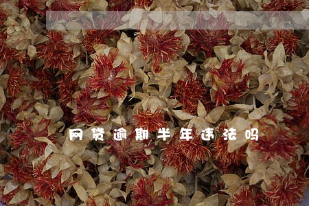 网贷逾期半年违法吗 网贷逾期半年违法吗