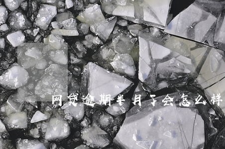 网贷逾期半月了会怎么样 网贷逾期半月了会怎么样