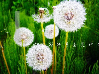 网贷逾期半月会受什么影响 网贷逾期半月会受什么影响