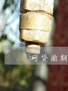 网贷逾期半月还上行吗 网贷逾期半月还上行吗