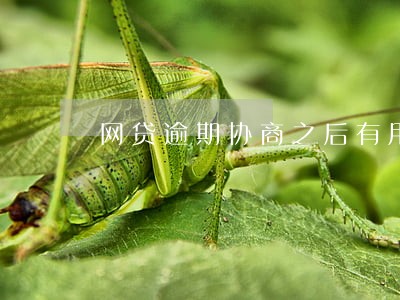 网贷逾期协商之后有用吗 网贷逾期协商之后有用吗