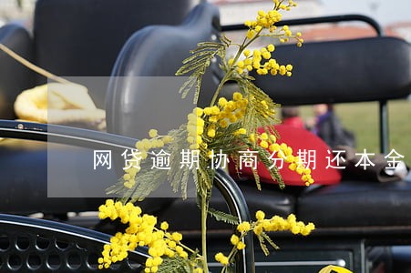 网贷逾期协商分期还本金 网贷逾期协商分期还本金