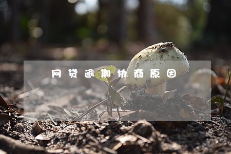网贷逾期协商原因 网贷逾期协商原因