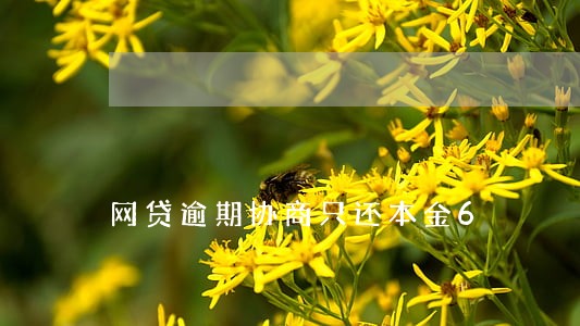网贷逾期协商只还本金6 网贷逾期协商只还本金6