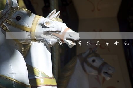 网贷逾期协商只还本金也还不起 网贷逾期协商只还本金也还不起