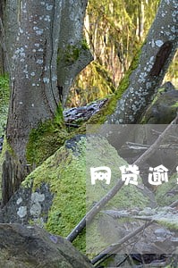 网贷逾期协商手续 网贷逾期协商手续