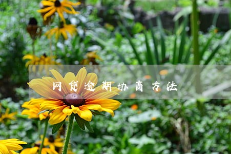 网贷逾期协商方法 网贷逾期协商方法