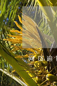 网贷逾期协商机构重庆 网贷逾期协商机构重庆