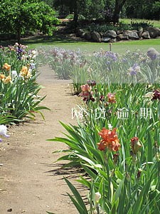 网贷逾期协商案例 网贷逾期协商案例