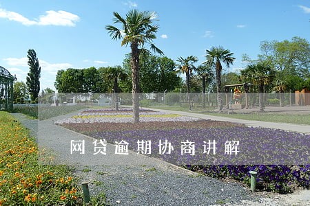 网贷逾期协商讲解 网贷逾期协商讲解