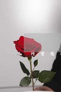 网贷逾期协商调解 网贷逾期协商调解