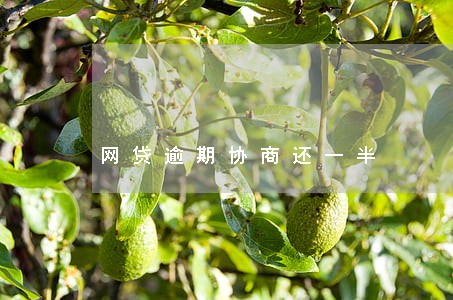 网贷逾期协商还一半 网贷逾期协商还一半