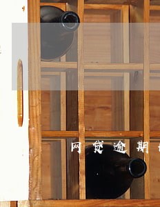 网贷逾期协商还不上怎么办啊 网贷逾期协商还不上怎么办啊