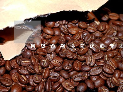 网贷逾期协商还款专业公司 网贷逾期协商还款专业公司