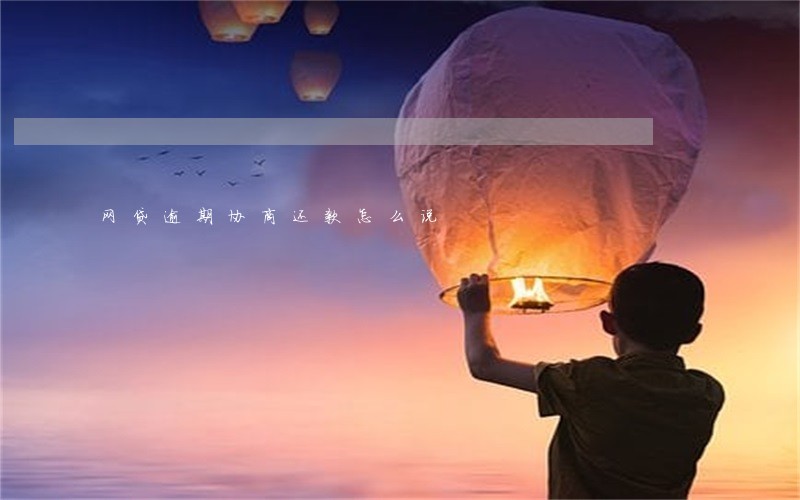 网贷逾期协商还款怎么说 网贷逾期协商还款怎么说