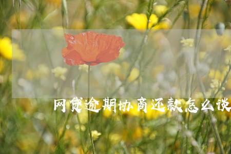 网贷逾期协商还款怎么谈 网贷逾期协商还款怎么谈
