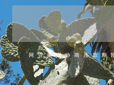 网贷逾期协商还款期限 网贷逾期协商还款期限