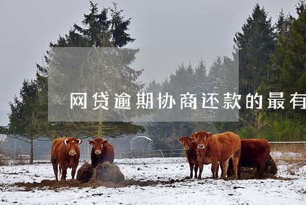 网贷逾期协商还款的最有效方法