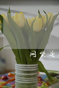 网贷逾期协商还款话术案例 网贷逾期协商还款话术案例