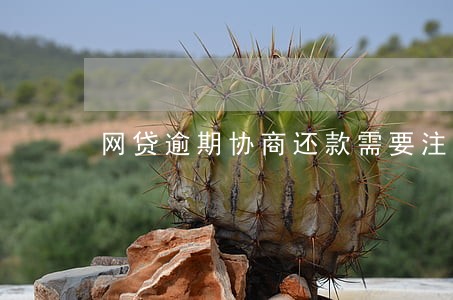 网贷逾期协商还款需要注意什么 网贷逾期协商还款需要注意什么