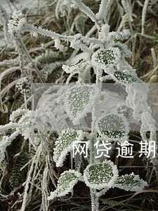 网贷逾期协商银行按揭 网贷逾期协商银行按揭