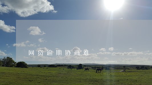 网贷逾期协商难 网贷逾期协商难