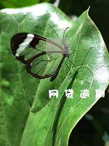 网贷逾期协查通知