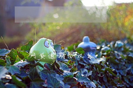 网贷逾期协议书 网贷逾期协议书
