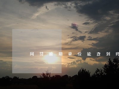 网贷逾期单位能查到吗 网贷逾期单位能查到吗