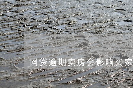 网贷逾期卖房会影响买家吗 网贷逾期卖房会影响买家吗