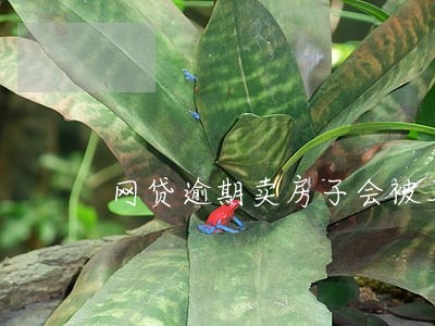 网贷逾期卖房子会被上诉讼 网贷逾期卖房子会被上诉讼