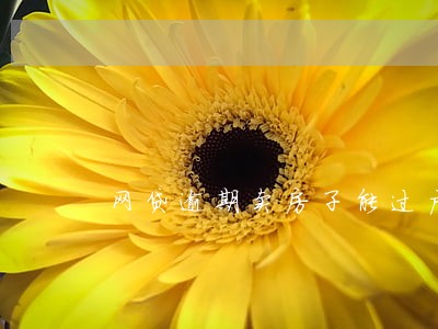 网贷逾期卖房子能过户吗 网贷逾期卖房子能过户吗