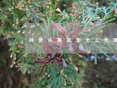 网贷逾期卖车怎么处理 网贷逾期卖车怎么处理