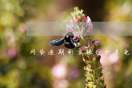 网贷逾期南京银行打来电话 网贷逾期南京银行打来电话