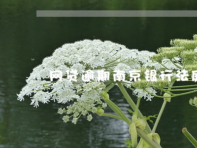 网贷逾期南京银行法庭 网贷逾期南京银行法庭