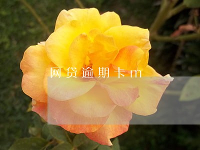 网贷逾期卡m 网贷逾期卡m