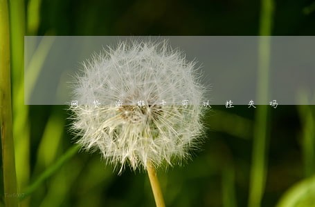 网贷逾期卡可以挂失吗 网贷逾期卡可以挂失吗