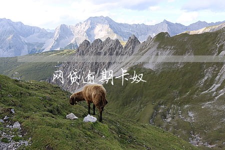 网贷逾期卡奴 网贷逾期卡奴