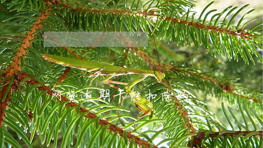 网贷逾期卡能扣除吗 网贷逾期卡能扣除吗