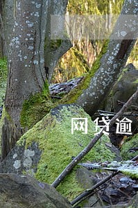 网贷逾期卡还完能用吗 网贷逾期卡还完能用吗